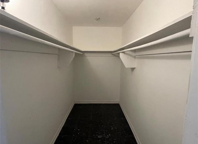 5617 Bissonnet St Unit 104, Houston, TX 77081 - view of spacious closet