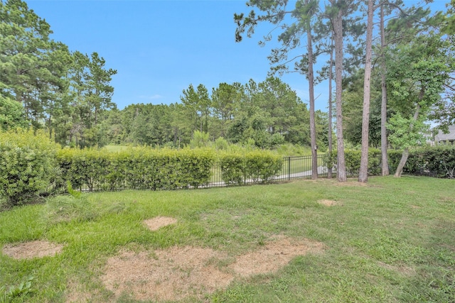 9955 Preserve Way, Conroe, TX 77385 - photo 33
