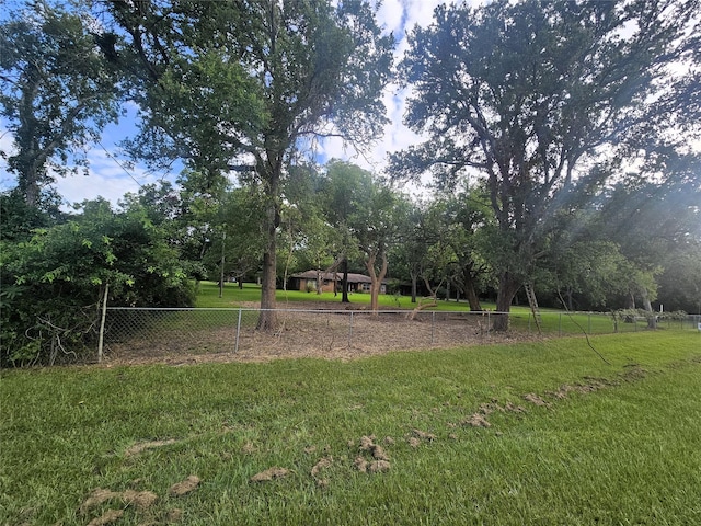 1405 Gou Hole Rd, Cove, TX 77523 - view of yard