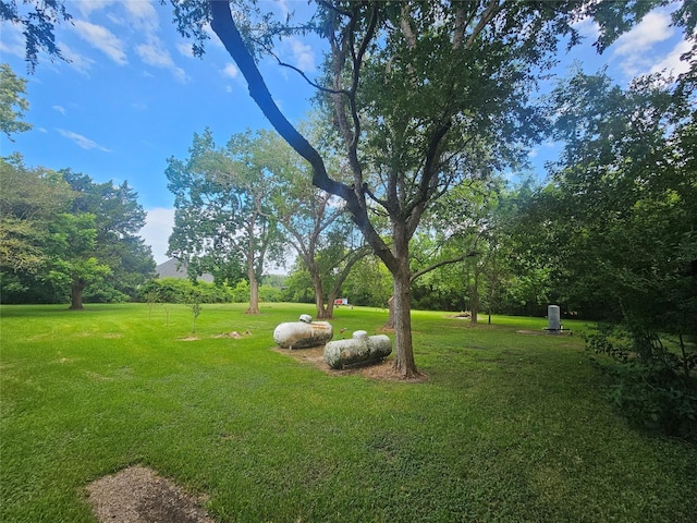1405 Gou Hole Rd, Cove, TX 77523 - view of grassy yard