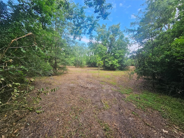 1405 Gou Hole Rd, Cove, TX 77523 - view of yard