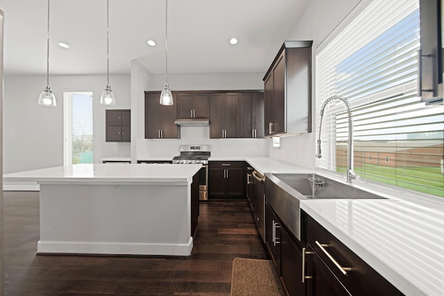 703 Schwartz St, Houston, TX 77020 - kitchen featuring stainless steel appliances, dark brown cabinets, dark wood-type flooring, under cabinet range hood, and a kitchen island