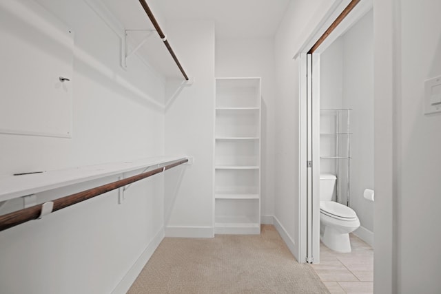 703 Schwartz St, Houston, TX 77020 - spacious closet with light carpet