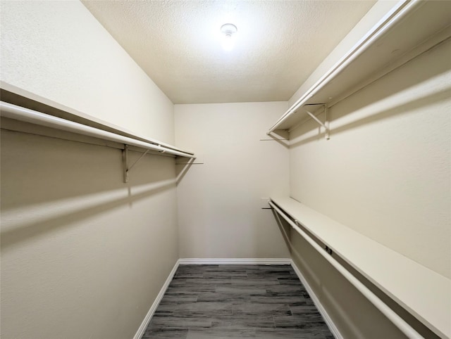 2750 Holly Hall St Unit 1504, Houston, TX 77054 - spacious closet featuring wood finished floors