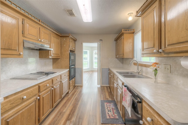 440 Lakeview Drive Loop, Coldspring, TX 77331 - kitchen with appliances with stainless steel finishes, under cabinet range hood, light countertops, light wood-style floors, and healthy amount of natural light