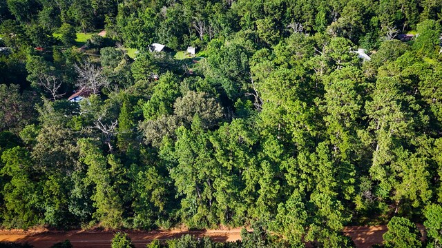 0000 Conestoga Trl, Livingston, TX 77351 - photo 3