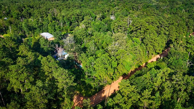 0000 Conestoga Trl, Livingston, TX 77351 - photo 5