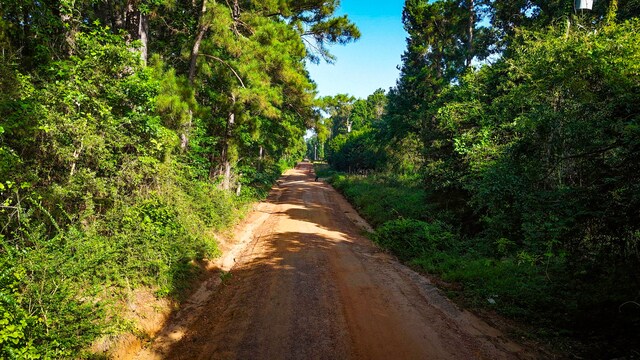 0000 Conestoga Trl, Livingston, TX 77351 - photo 19