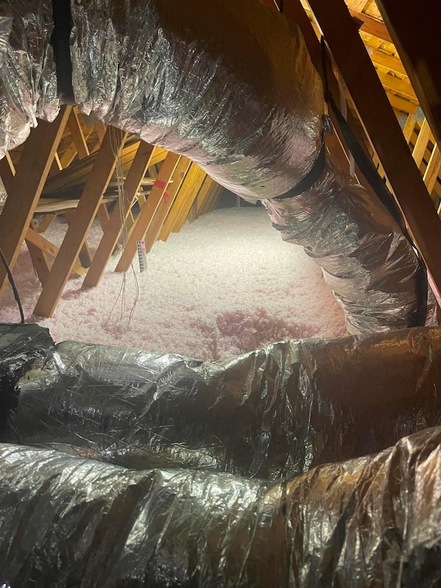 2826 Durban Dr, Houston, TX 77043 - view of attic