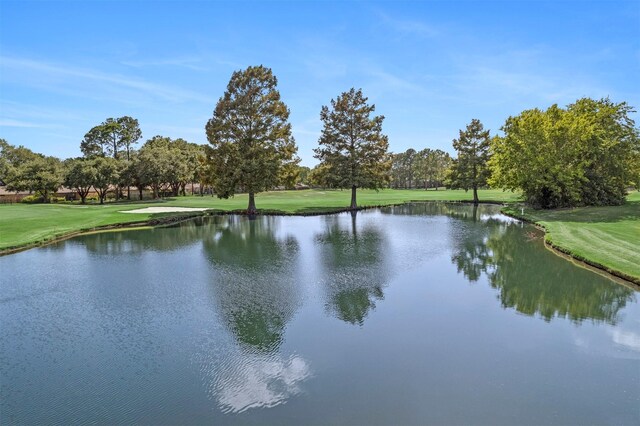 7238 N Hearthstone Green Dr, Houston, TX 77095 - water view with a golf club
