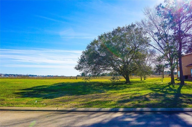 10815 Bourbon St, Willis, TX 77318 - photo 13