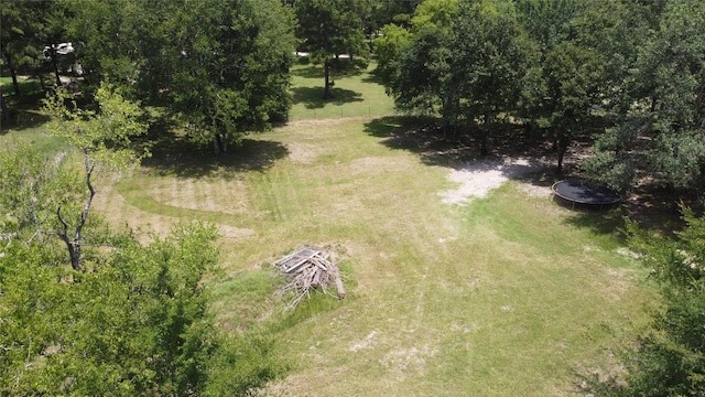 17 Mosley Ln, Huntsville, TX 77320 - photo 42