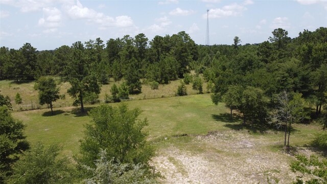 17 Mosley Ln, Huntsville, TX 77320 - photo 43