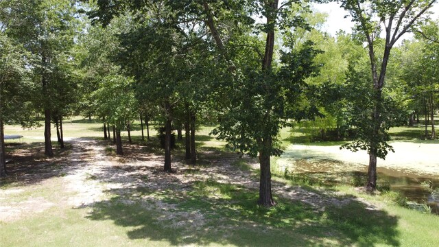 17 Mosley Ln, Huntsville, TX 77320 - photo 44