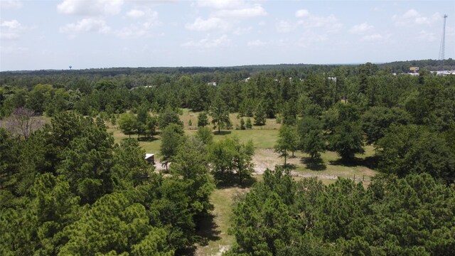 17 Mosley Ln, Huntsville, TX 77320 - photo 45