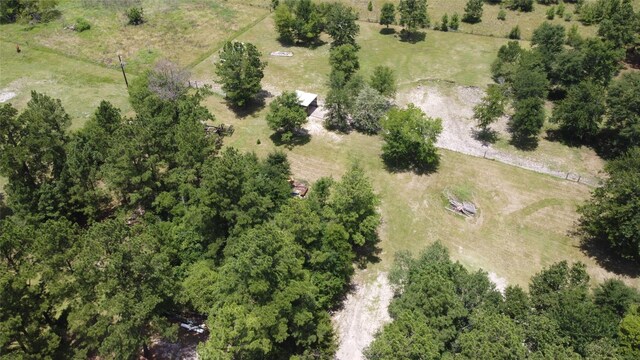 17 Mosley Ln, Huntsville, TX 77320 - photo 49