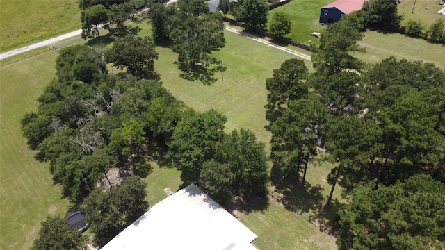 17 Mosley Ln, Huntsville, TX 77320 - photo 50