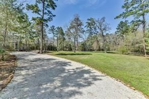 6867 Longs Cir, Waller, TX 77484 - photo 1