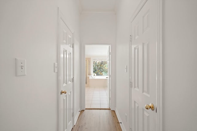 308 Bomar St, Houston, TX 77006 - photo 27