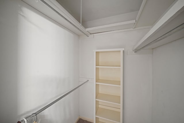 3103 Fairway Dr, Sugar Land, TX 77478 - view of spacious closet