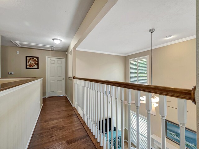 3219 Almond Creek Dr, Houston, TX 77059 - corridor with attic access, wood finished floors, and ornamental molding