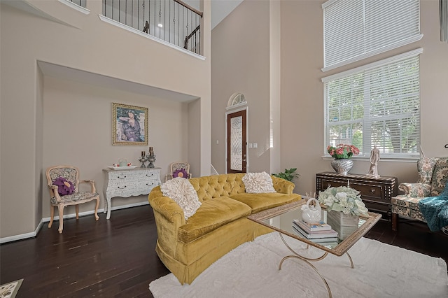 9107 Solvista Pass Ln, Houston, TX 77070 - living room featuring hardwood / wood-style flooring and a high ceiling