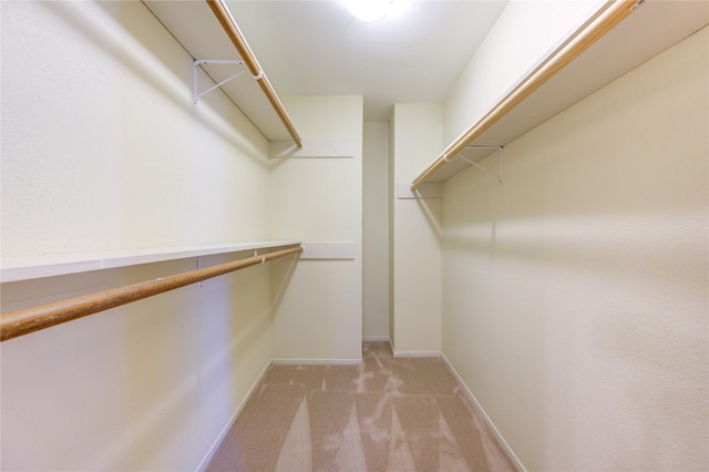 3660 Lake St, Houston, TX 77098 - photo 10
