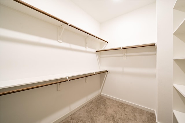 11325 Stonework Garden Ln, Houston, TX 77076 - walk in closet featuring light colored carpet