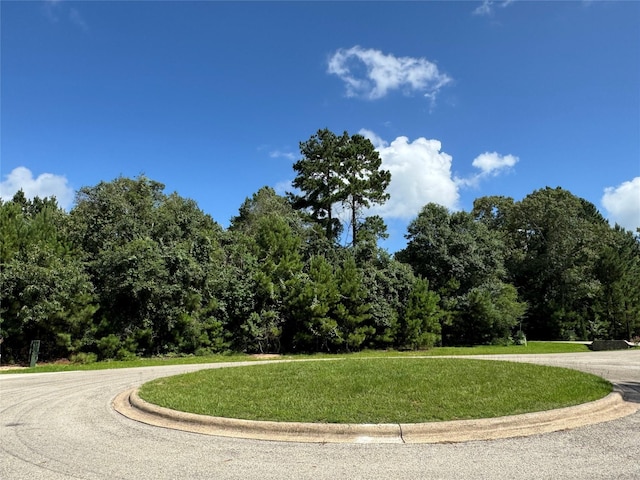 13032 Royal Oak Ct, Montgomery, TX 77316 - photo 1
