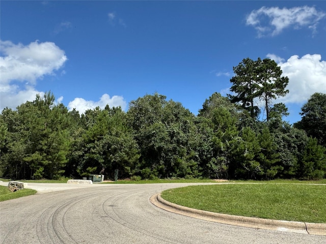 13032 Royal Oak Ct, Montgomery, TX 77316 - photo 2