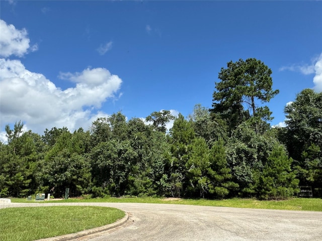 13032 Royal Oak Ct, Montgomery, TX 77316 - photo 3