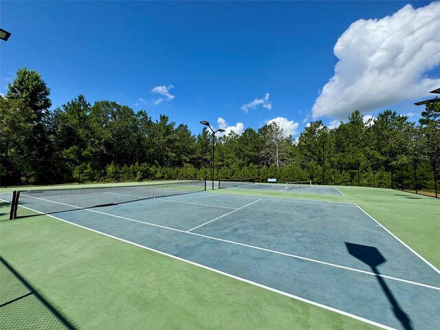 13032 Royal Oak Ct, Montgomery, TX 77316 - photo 15