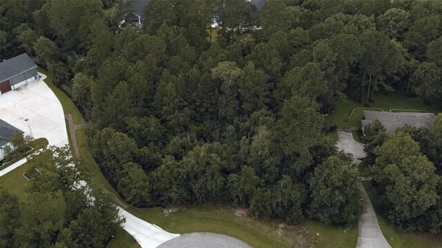 13032 Royal Oak Ct, Montgomery, TX 77316 - photo 4