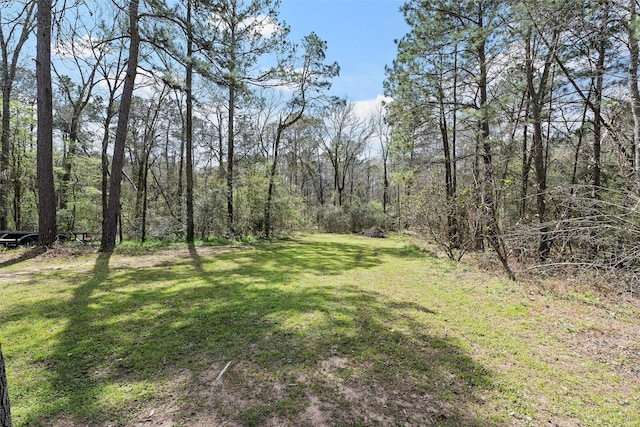 19211 Serpenteer Dr, Porter, TX 77365 - photo 22