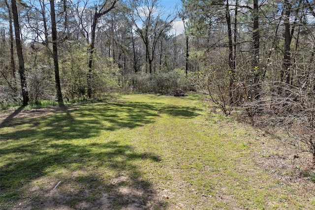19211 Serpenteer Dr, Porter, TX 77365 - photo 23