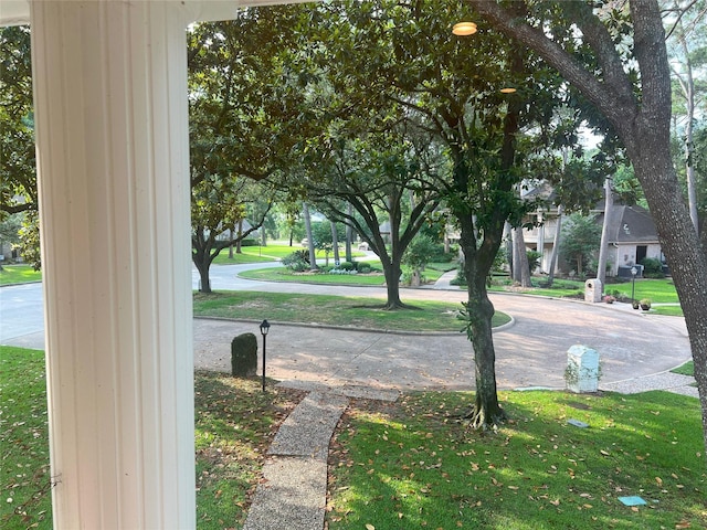13631 Balmore Cir, Houston, TX 77069 - view of road featuring curbs