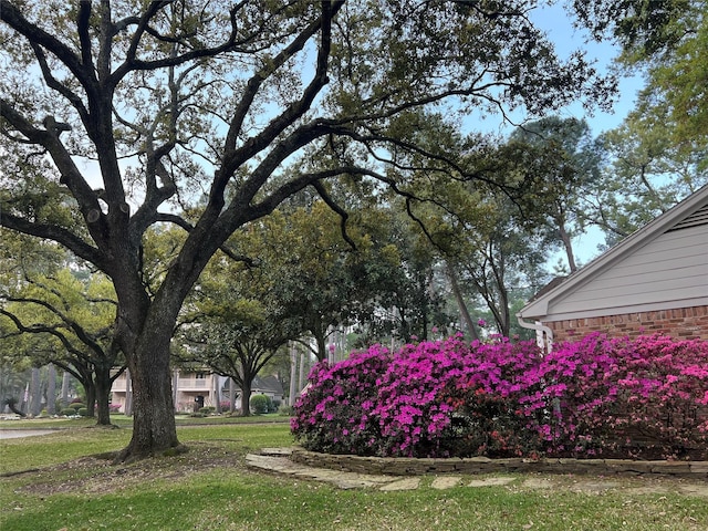 13631 Balmore Cir, Houston, TX 77069 - view of yard