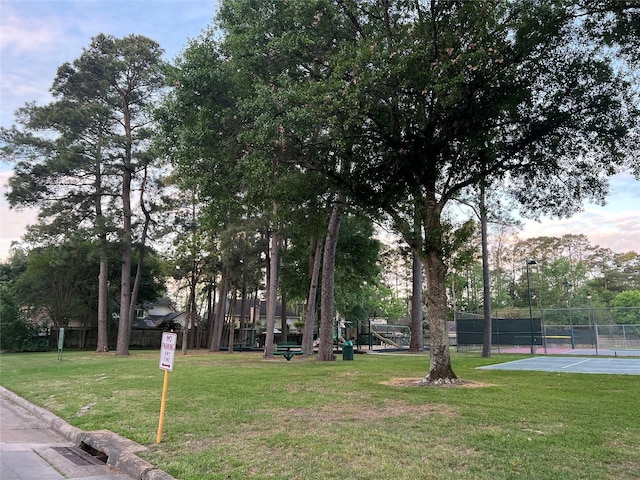 13631 Balmore Cir, Houston, TX 77069 - view of community