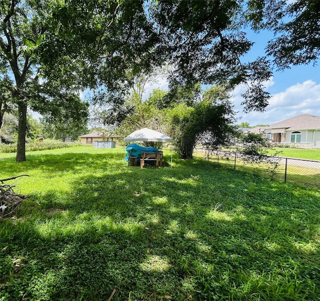 102 Draper St, Columbus, TX 78934 - view of yard