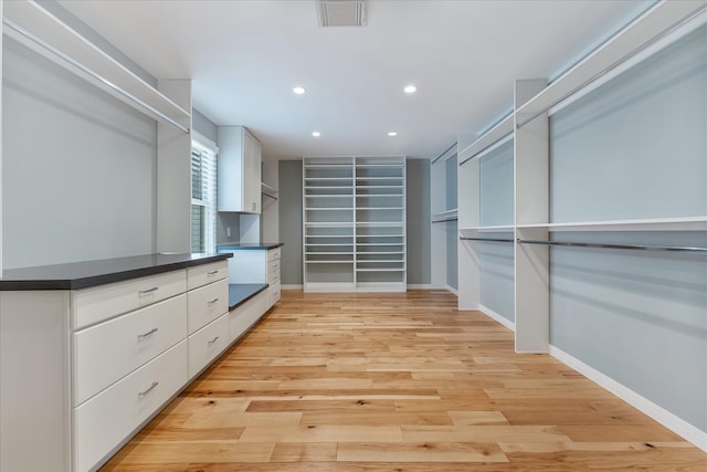 4206 Law St, Houston, TX 77005 - spacious closet with light wood-style floors