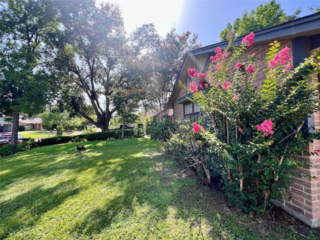 18738 Shannon Glen Ln, Houston, TX 77084 - view of green lawn