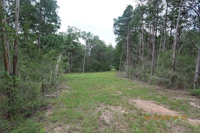 1584 Dungens Mill Rd, Columbus, TX 78934