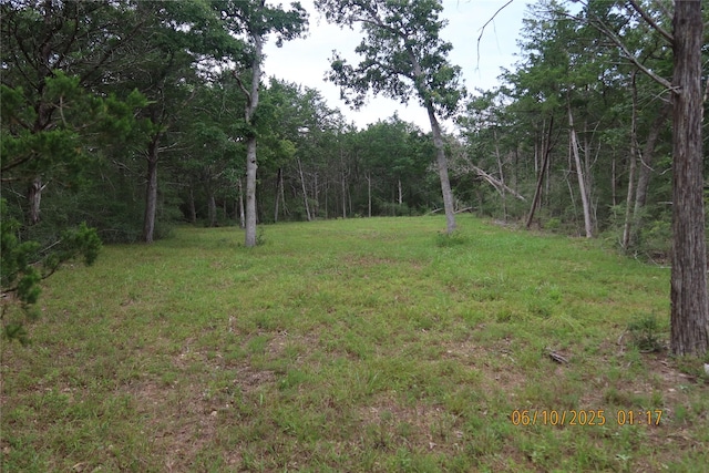 1584 Dungens Mill Rd, Columbus, TX 78934