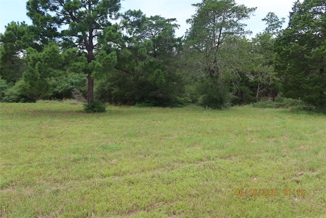 1584 Dungens Mill Rd, Columbus, TX 78934