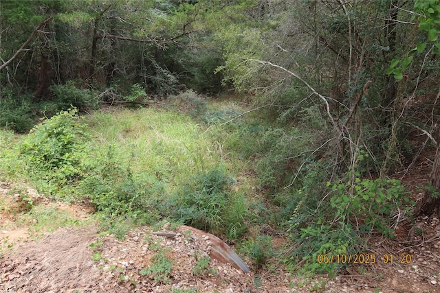 1584 Dungens Mill Rd, Columbus, TX 78934