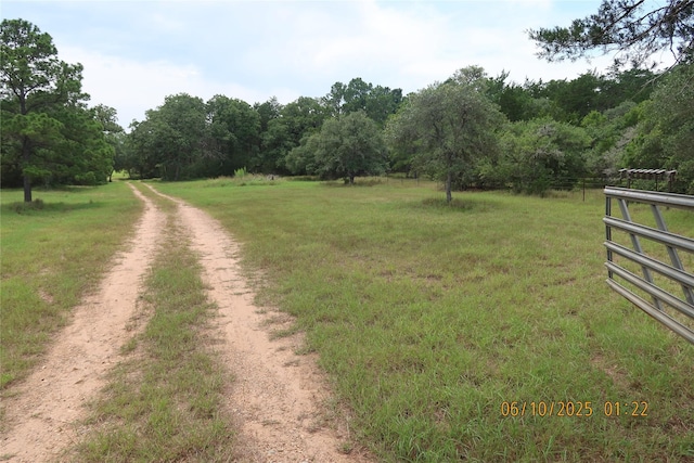 1584 Dungens Mill Rd, Columbus, TX 78934