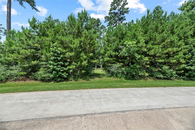 25027 Tarlton, Tomball, TX 77375