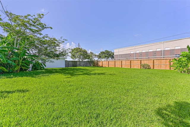 2206 Wimcrest St, Galveston, TX 77551 - view of yard