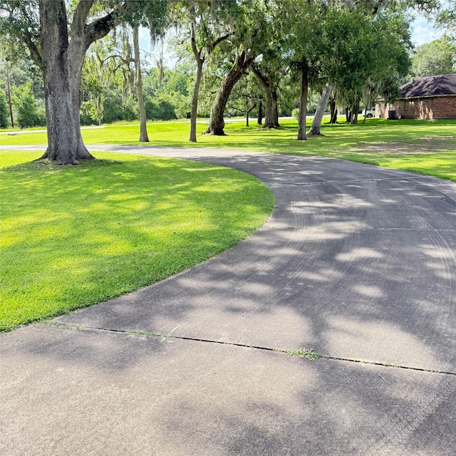 1410 S Dance Dr, West Columbia, TX 77486 - view of home's community with curved driveway and a yard