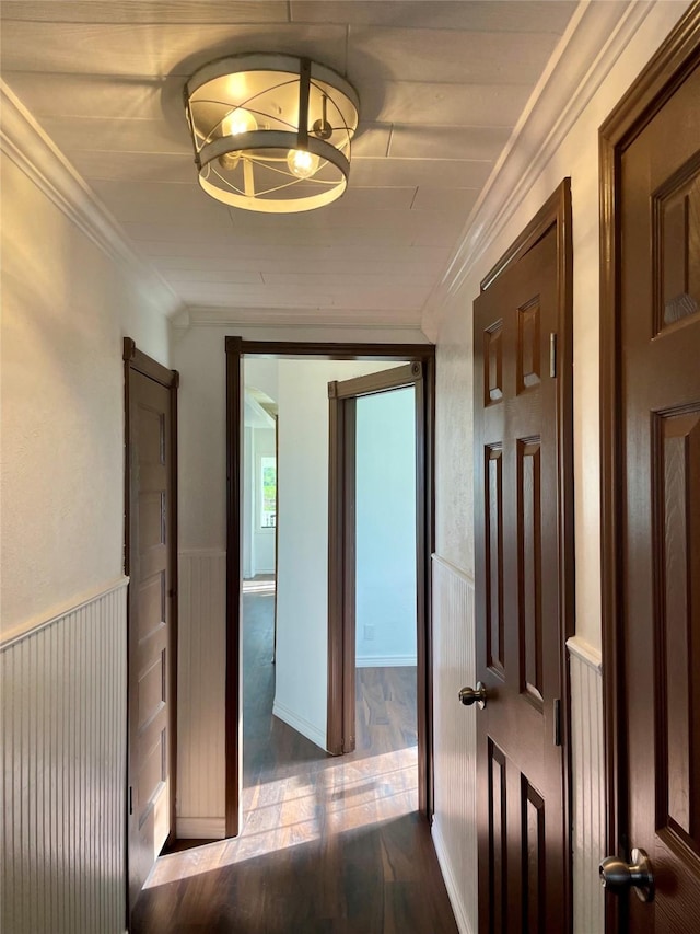 717 W Brazos St, Freeport, TX 77541 - hallway featuring dark wood-style flooring and crown molding